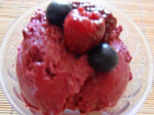 Sugar Free Berry Sherbet Gluten Free Sugar Free Berry Sherbet