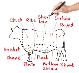 Image: Cuts of Beef Illustration