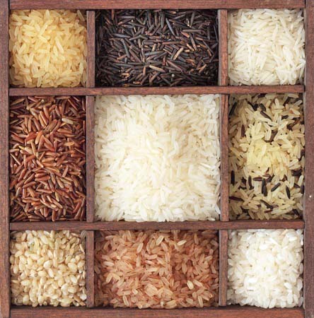 Varieties of Gluten Free Rice