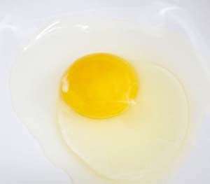 Image: Raw Egg