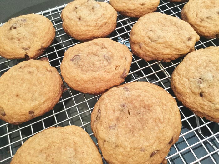 Gluten Free Chewy Chocolate Chip Cookies