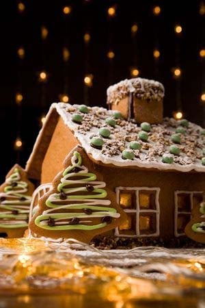 Delicious and Sturdy Gluten Free Gingerbread House