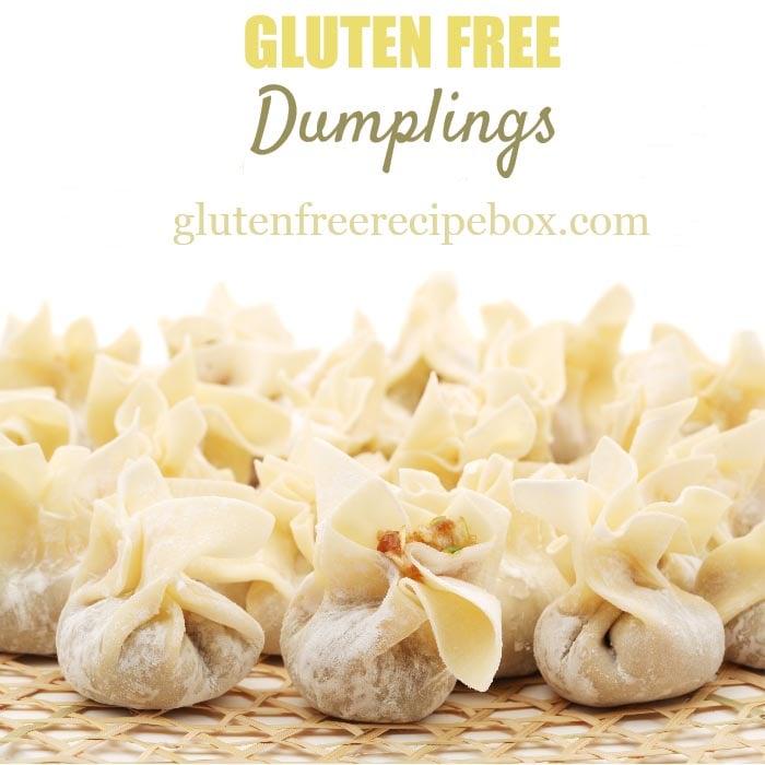 Gluten Free Asian Dumplings
