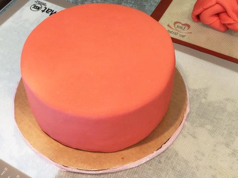 Photo Showing Smoothness of Gluten Free Fondant on a Cake